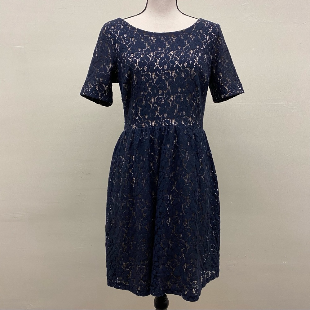 Enfocus Studio Navy Lace Dress